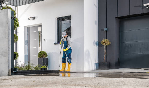 Best Spring Cleaning  in West Point, MS